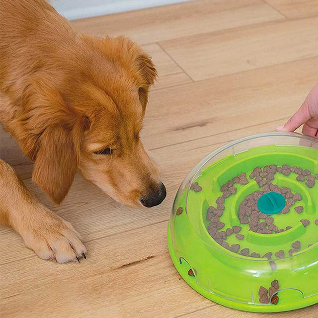 Nina Ottosson Perros Wobble Bowl Nivel 1 Nina Ottosson Perros Wobble Bowl Nivel 1