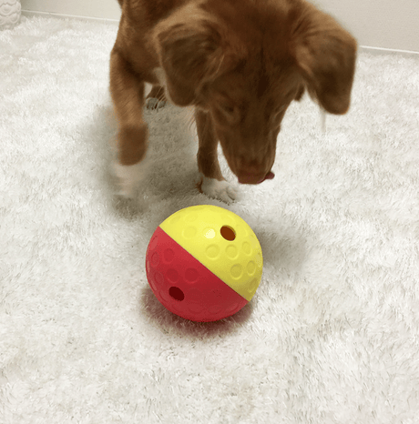 Juguetes de Inteligencia para Perros Nina Ottoson Dispensador De Premios Large Para Perros Juguetes de Inteligencia para Perros Nina Ottoson Dispensador De Premios Large Para Perros