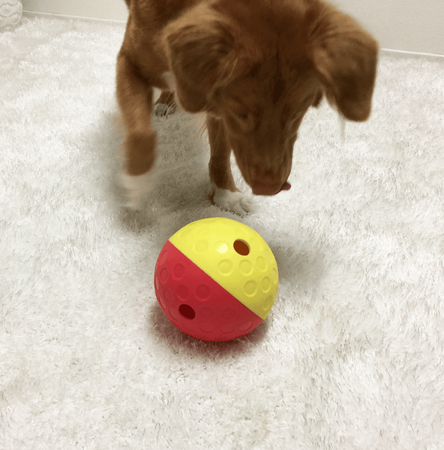 Nina Ottoson Dispensador De Premios Large Para Perros Nina Ottoson Dispensador De Premios Large Para Perros