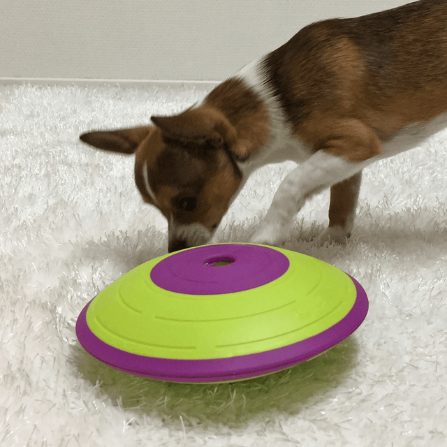 Nina Ottosson Dispensador Maze Nivel 2 Juguete Para Perros Nina Ottosson Dispensador Maze Nivel 2 Juguete Para Perros