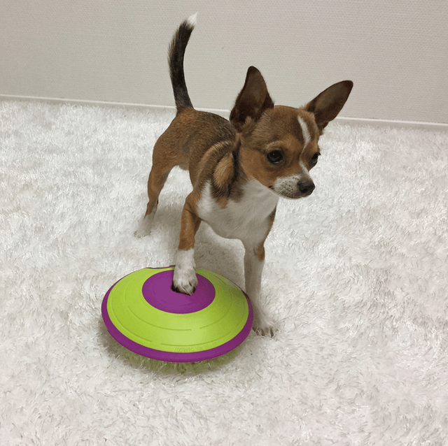 Nina Ottosson Dispensador Maze Nivel 2 Juguete Para Perros Nina Ottosson Dispensador Maze Nivel 2 Juguete Para Perros