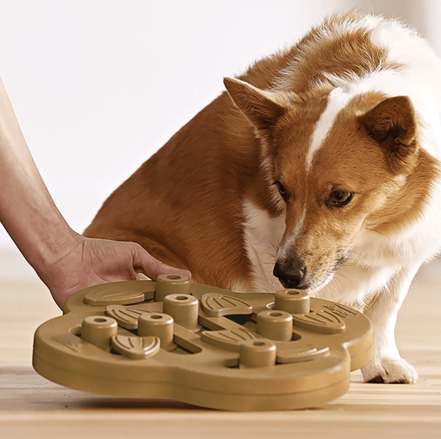 Nina Ottosson Puzzle Hide N Slide Composite Nivel 2 Para Perros Nina Ottosson Puzzle Hide N Slide Composite Nivel 2 Para Perros