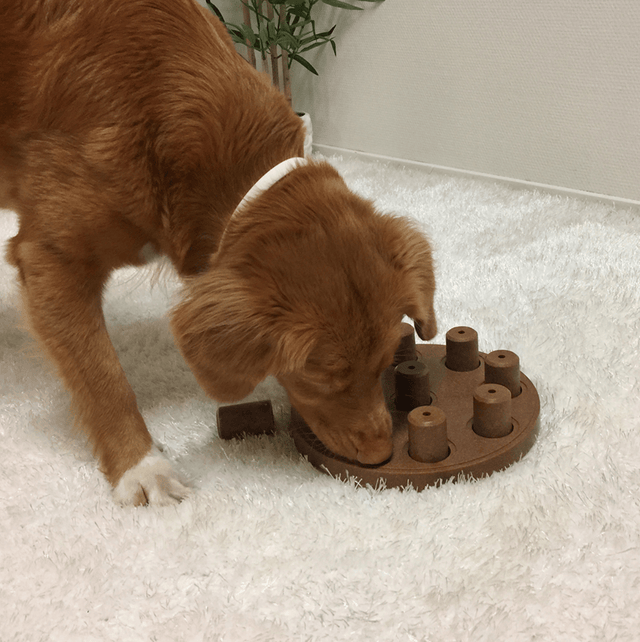 Nina Ottosson Puzzle Smart Composite Nivel 1 Juguete Para Perros Nina Ottosson Puzzle Smart Composite Nivel 1 Juguete Para Perros