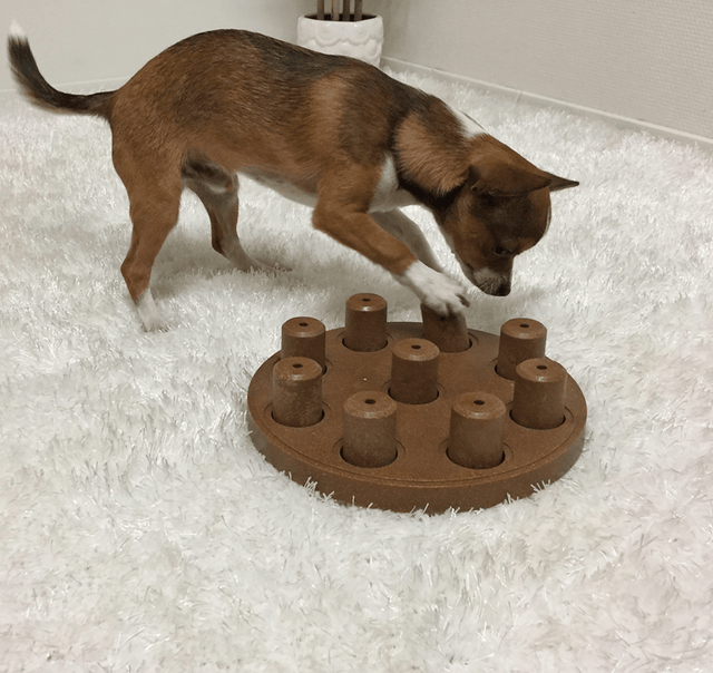 Nina Ottosson Puzzle Smart Composite Nivel 1 Juguete Para Perros Nina Ottosson Puzzle Smart Composite Nivel 1 Juguete Para Perros