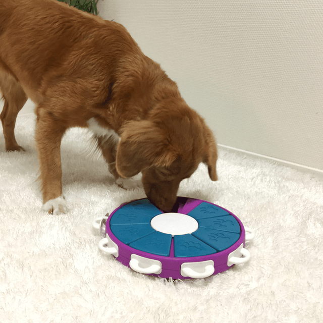 Nina Ottosson Puzzle Twister Nivel 3 Para Perros Nina Ottosson Puzzle Twister Nivel 3 Para Perros