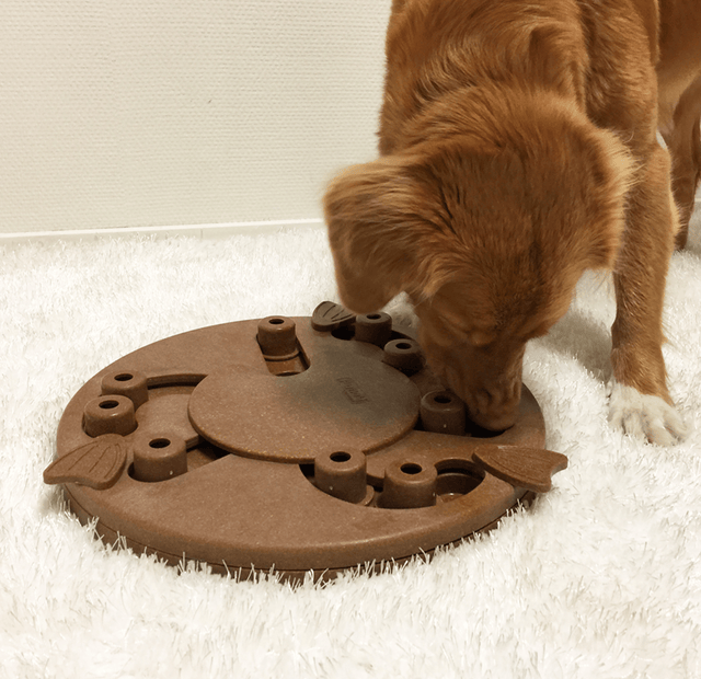 Nina Ottosson Puzzle Worker Composite Nivel 3 Para Perros Nina Ottosson Puzzle Worker Composite Nivel 3 Para Perros