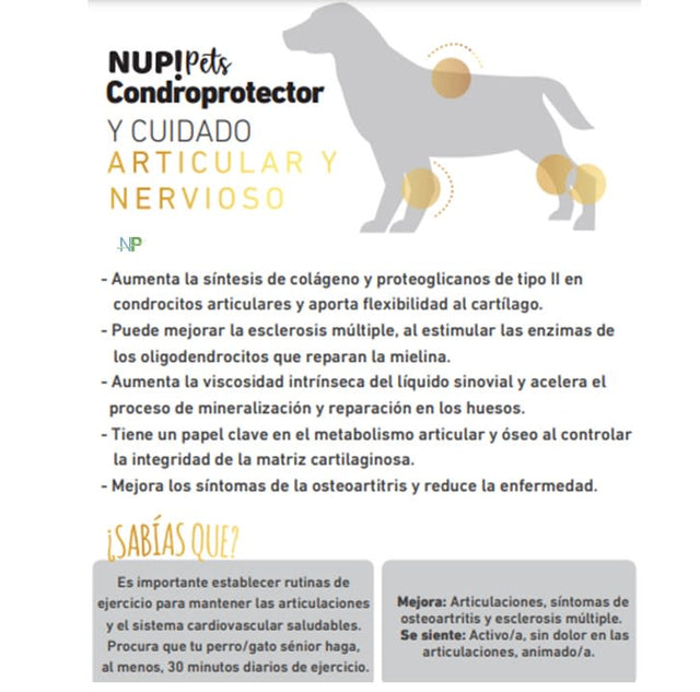 Nup Pets Condroprotector Para Perros Y Gatos En Polvo 120Gr  Nup Pets Condroprotector Para Perros Y Gatos En Polvo 120Gr