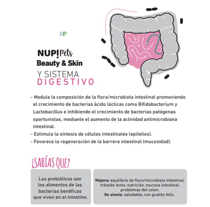 Nup Pets Beauty Skin Para Perros Y Gatos 120Gr