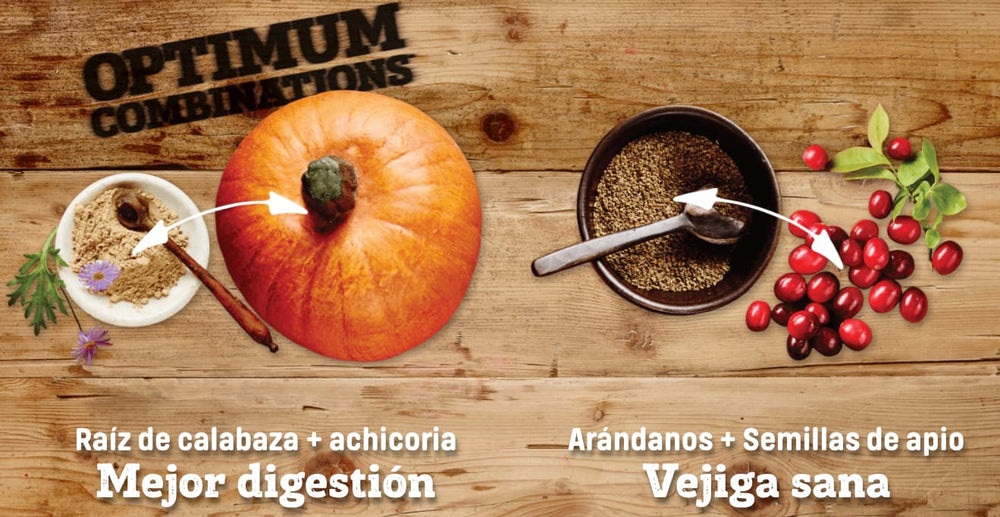 Nutram I12 Ideal Solution Support 5 4Kg