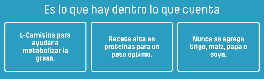 Nutram I12 Ideal Solution Support 5 4Kg
