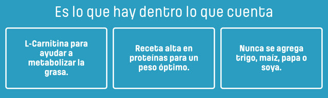 Nutram I12 Ideal Solution Support 5 4Kg  Nutram I12 Ideal Solution Support 5 4Kg
