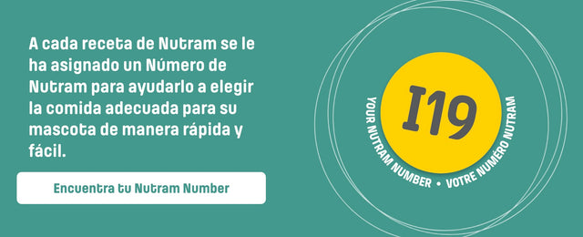 Nutram I19 Ideal Skin Coat 5 4Kg  Nutram I19 Ideal Skin Coat 5 4Kg