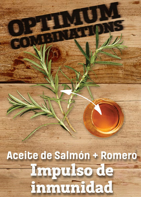 Nutram Nutram I19 Ideal Skin Coat 5 4Kg Nutram Nutram I19 Ideal Skin Coat 5 4Kg