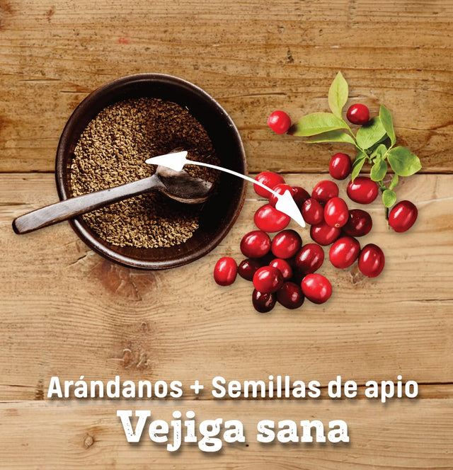 Nutram I19 Ideal Skin Coat 5 4Kg  Nutram I19 Ideal Skin Coat 5 4Kg