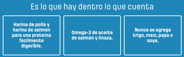 Nutram S5 Sound Balanced Wellness 1 13Kg  Nutram S5 Sound Balanced Wellness 1 13Kg