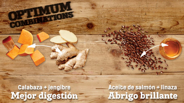 Nutram S6 Sound Balanced Wellness 2Kg Nutram S6 Sound Balanced Wellness 2Kg