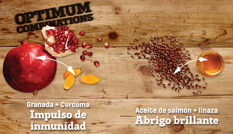 Alimento para Perros Nutram S7 Sound Balanced Wellness Adult Small 2Kg Alimento para Perros Nutram S7 Sound Balanced Wellness Adult Small 2Kg
