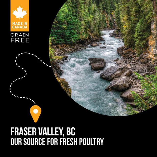 Nutrience Dog Subzero Fraser Valley Small 1 8Kg Nutrience Dog Subzero Fraser Valley Small 1 8Kg