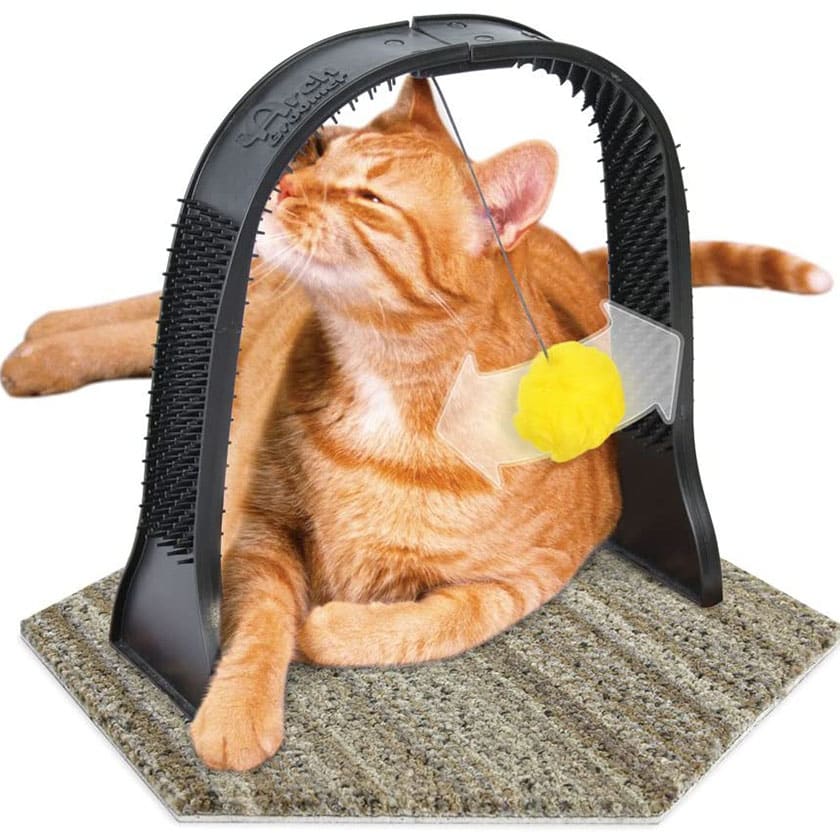 Omega Paw Arch Groomer