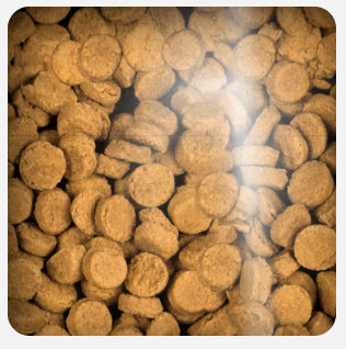 Oven Baked Dog Grain Free Duck Treats 227Gr Oven Baked Dog Grain Free Duck Treats 227Gr