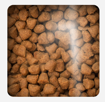 Oven Baked Cat Traditional Senior And Light Chicken 2 27Kg Oven Baked Cat Traditional Senior And Light Chicken 2 27Kg