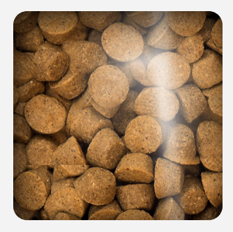 Oven Baked Dog Traditional Adult Fish All Breed 11 34Kg Oven Baked Dog Traditional Adult Fish All Breed 11 34Kg