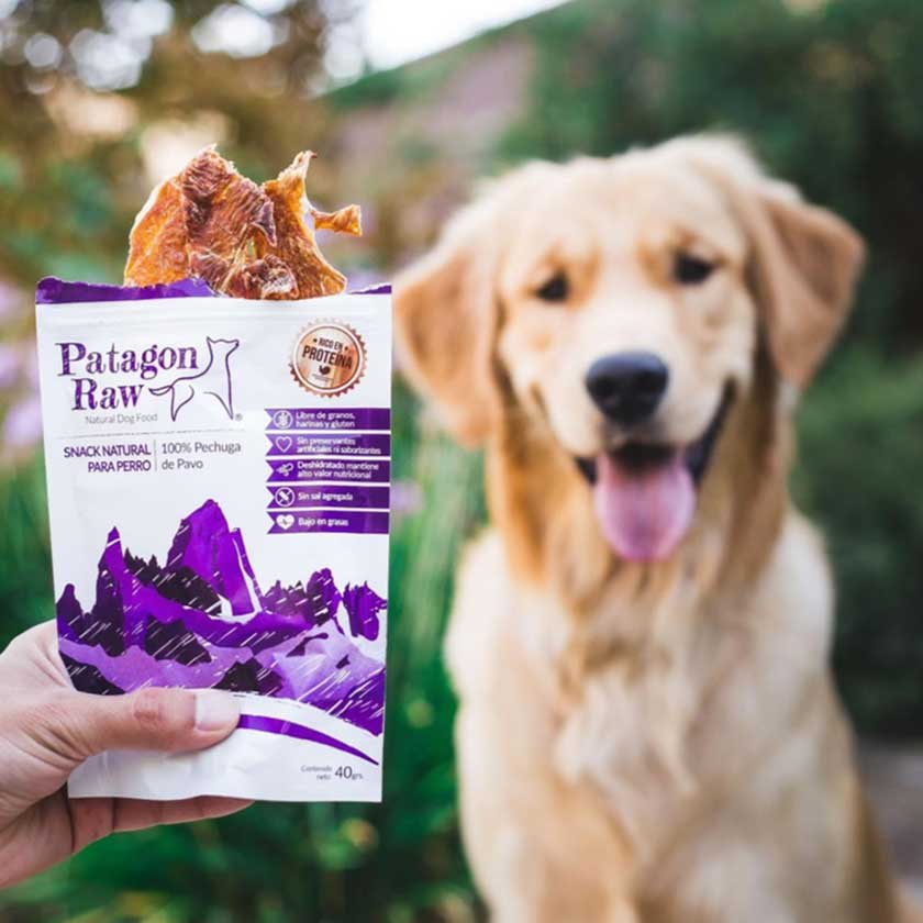 Patagon Raw Para Perros Sabor Pechuga De Pavo 40Gr