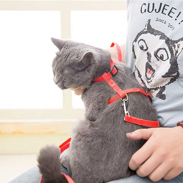 Pawise Arnes Con Trailla Color  Pawise Arnes Con Trailla Color