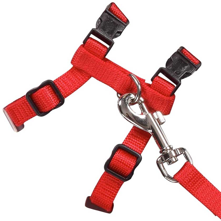 Pawise Arnes Con Trailla Color