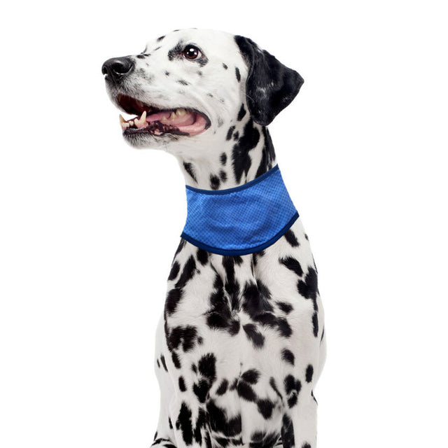 Pawise Bandana Refrescante  Pawise Bandana Refrescante