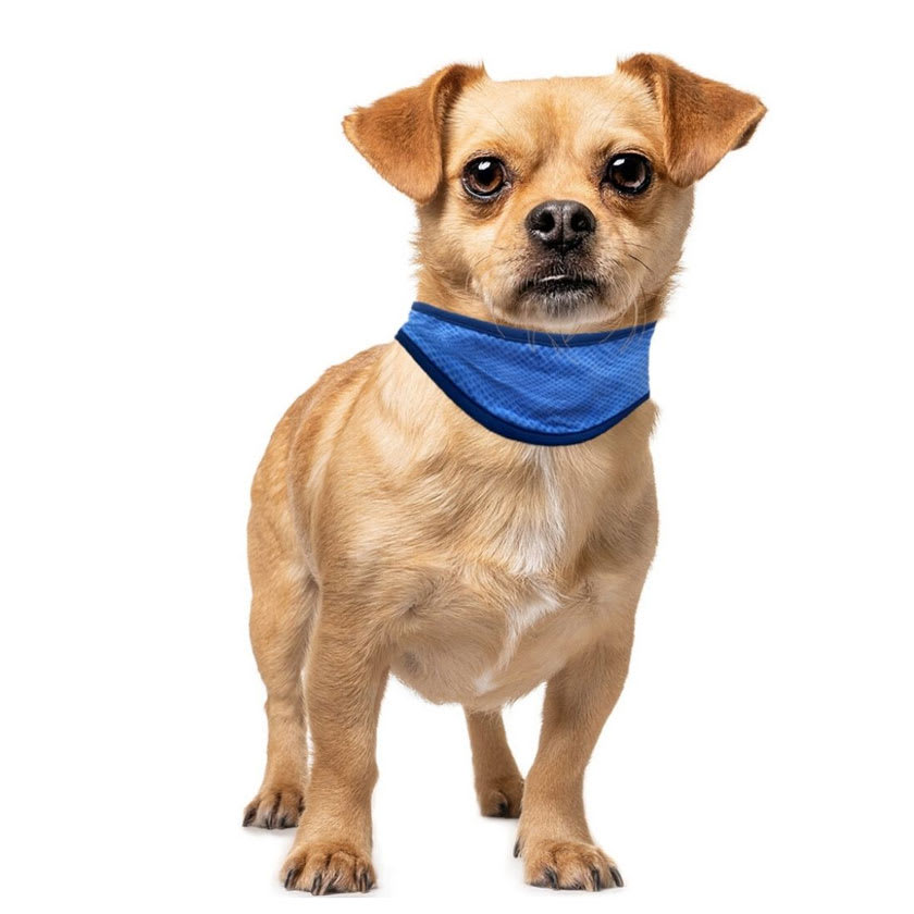 Pawise Bandana Refrescante