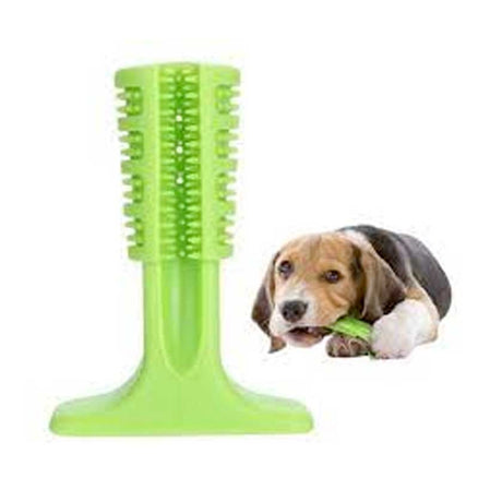 Salud y Bienestar para Perros Pawise Cepillo De Dientes Medium Chewy Para Perros Salud y Bienestar para Perros Pawise Cepillo De Dientes Medium Chewy Para Perros