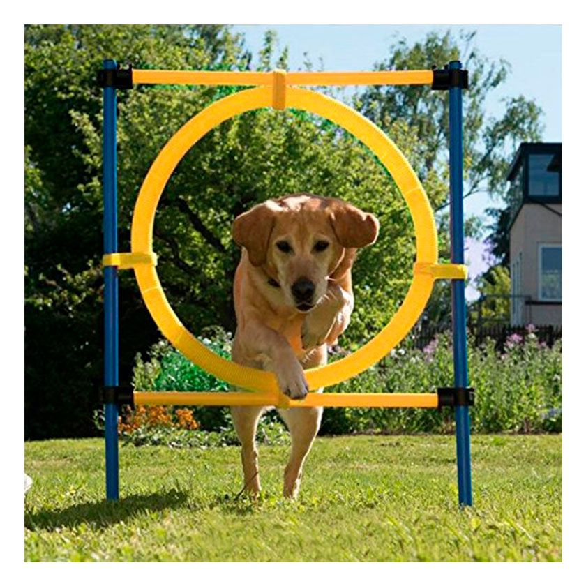 Pawise Agility Aro