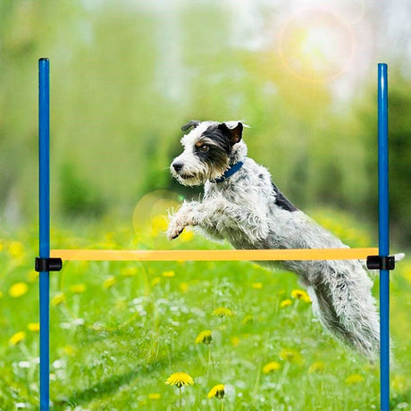 Juguetes Interactivos para Perros Pawise Agility Valla Juguetes Interactivos para Perros Pawise Agility Valla