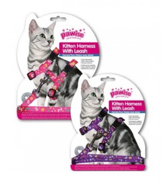 Pawise Arnes Con Trailla