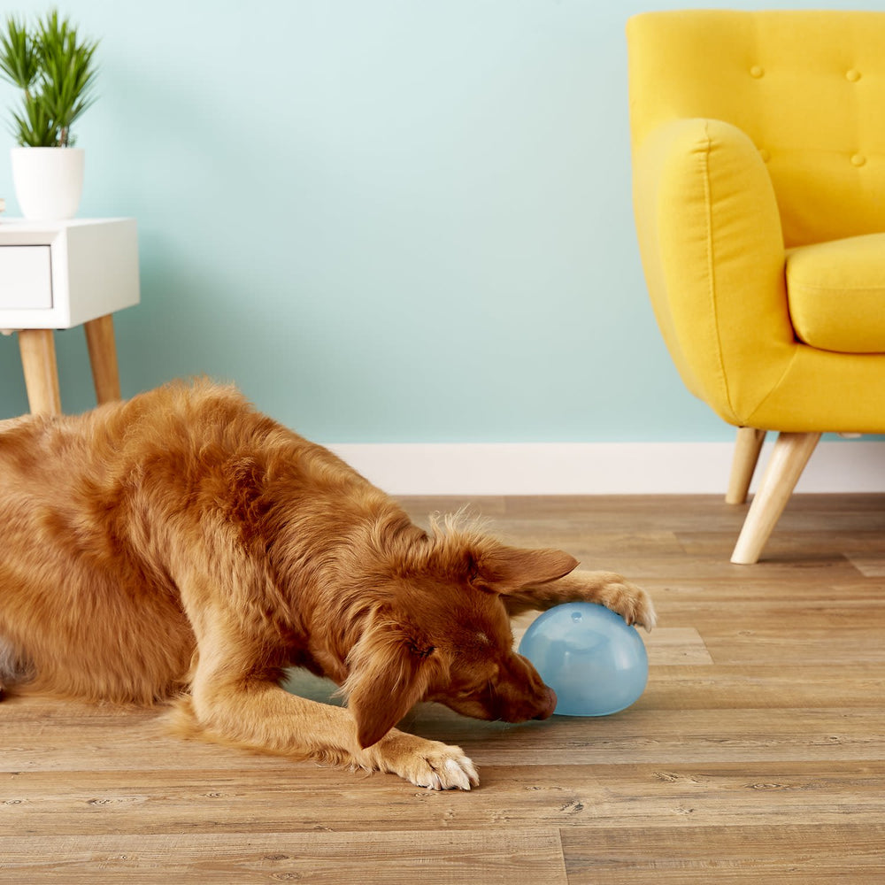 Planet Dog Orbee Tuff Snoop Medium Large