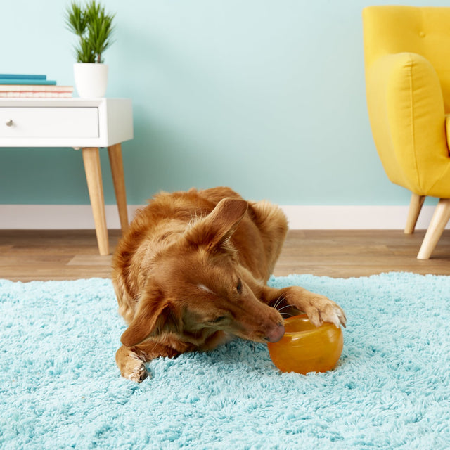 Planet Dog Orbee Tuff Snoop Medium Large  Planet Dog Orbee Tuff Snoop Medium Large