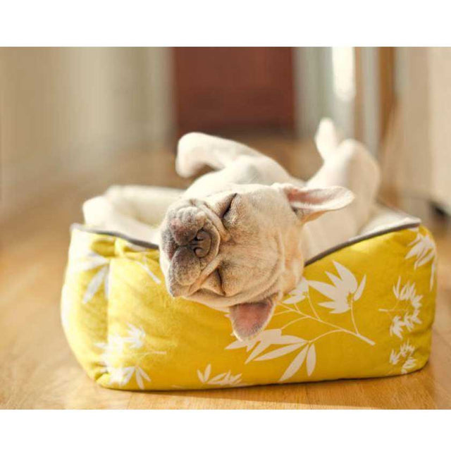 Play Cama Lounge Bamboo Mostaza  Play Cama Lounge Bamboo Mostaza