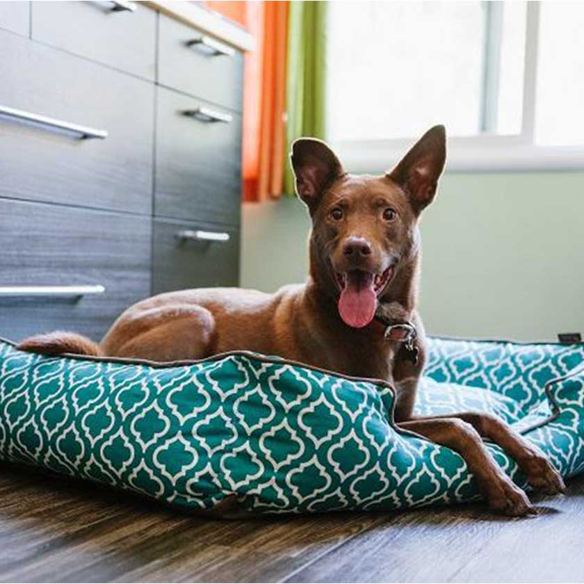 Play Cama Lounge Morrocan Teal