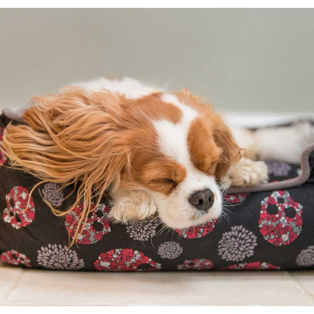 Play Cama Lounge Skull Roses  Play Cama Lounge Skull Roses