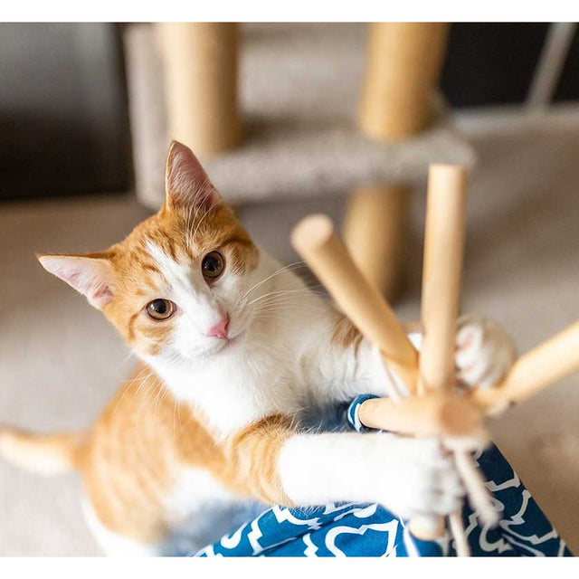 Play Carpa Teepee Classic Morroccan Navy  Play Carpa Teepee Classic Morroccan Navy