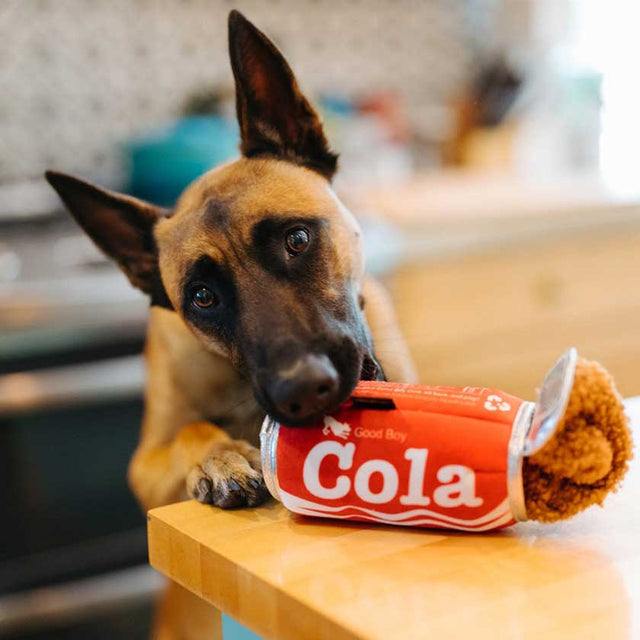 Play Dog Snacks  Play Dog Snacks