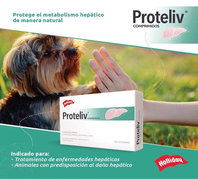Proteliv 21 Comprimidos Proteliv 21 Comprimidos