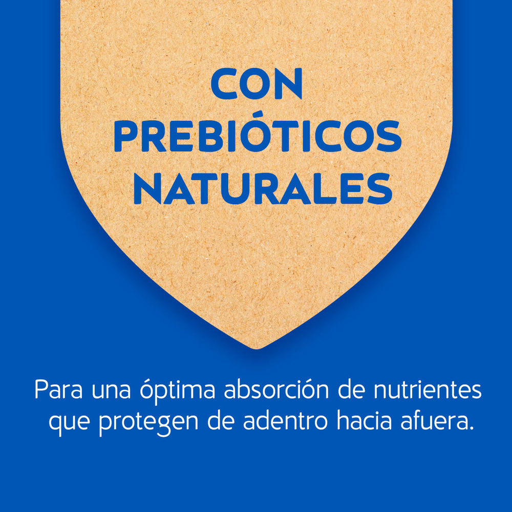 Purina Cat Chow Adultos Pescado Con Defense Plus 3Kg