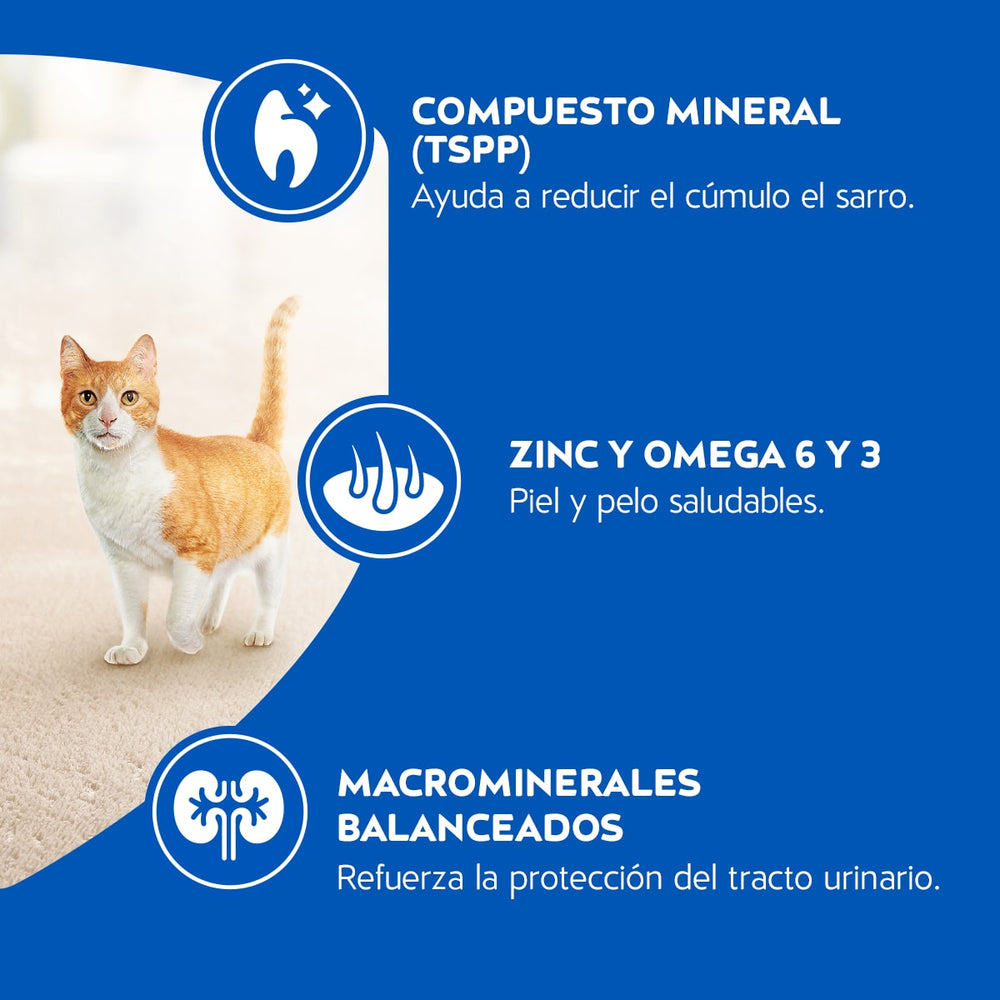 Purina Cat Chow Adultos Pescado Con Defense Plus 3Kg
