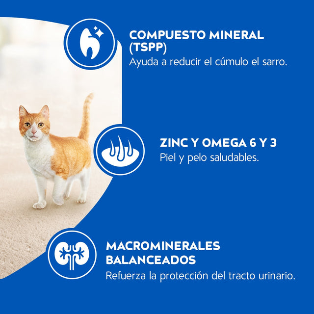 Purina Cat Chow Adultos Pescado Con Defense Plus 3Kg  Purina Cat Chow Adultos Pescado Con Defense Plus 3Kg