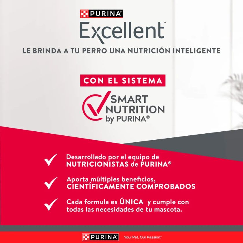 Purina Excellent® Adultos Piel Sensible Con Salmon 12Kg