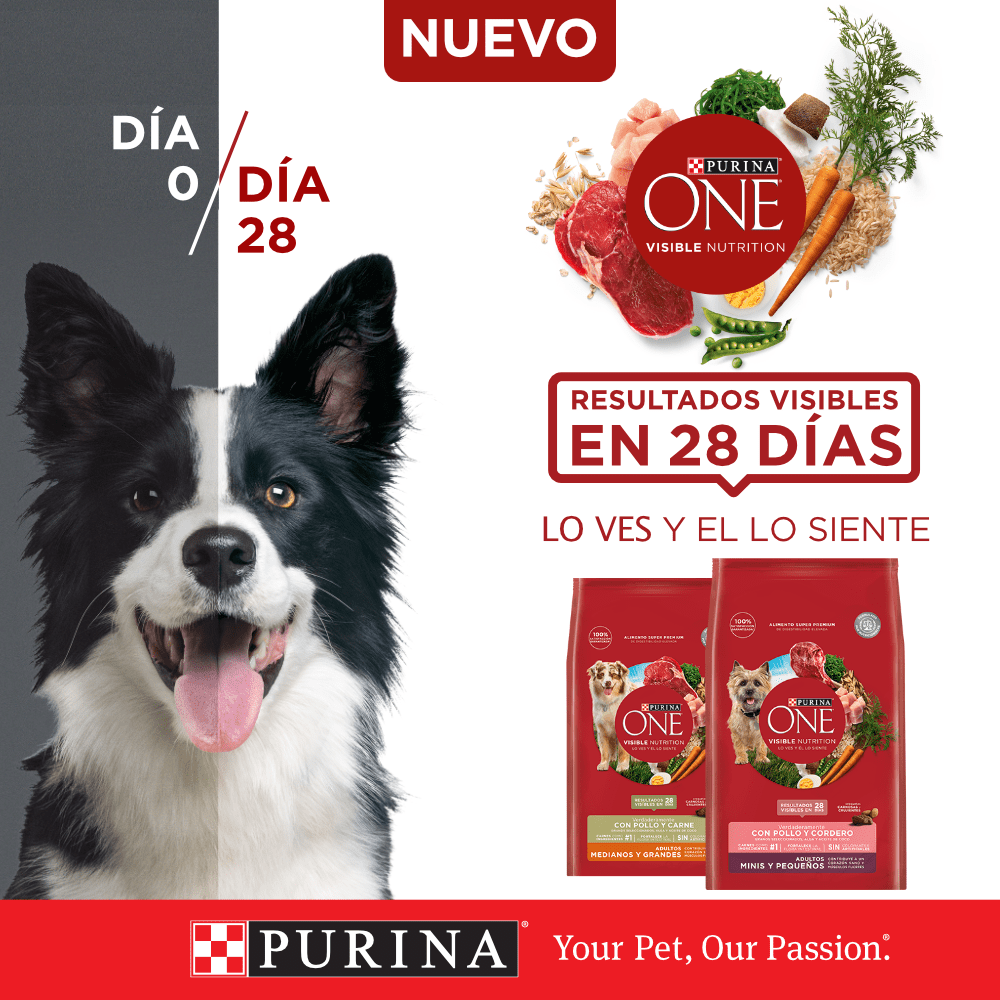 Purina® One® Adulto Mediano Y Grande Pollo Y Cordero 6Kg