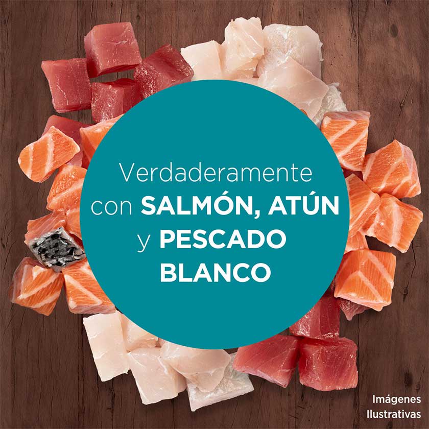 Purina One Pouch Gatos Adultos Y Gatitos Sabor Salmon Atun Y Pescado 85Gr