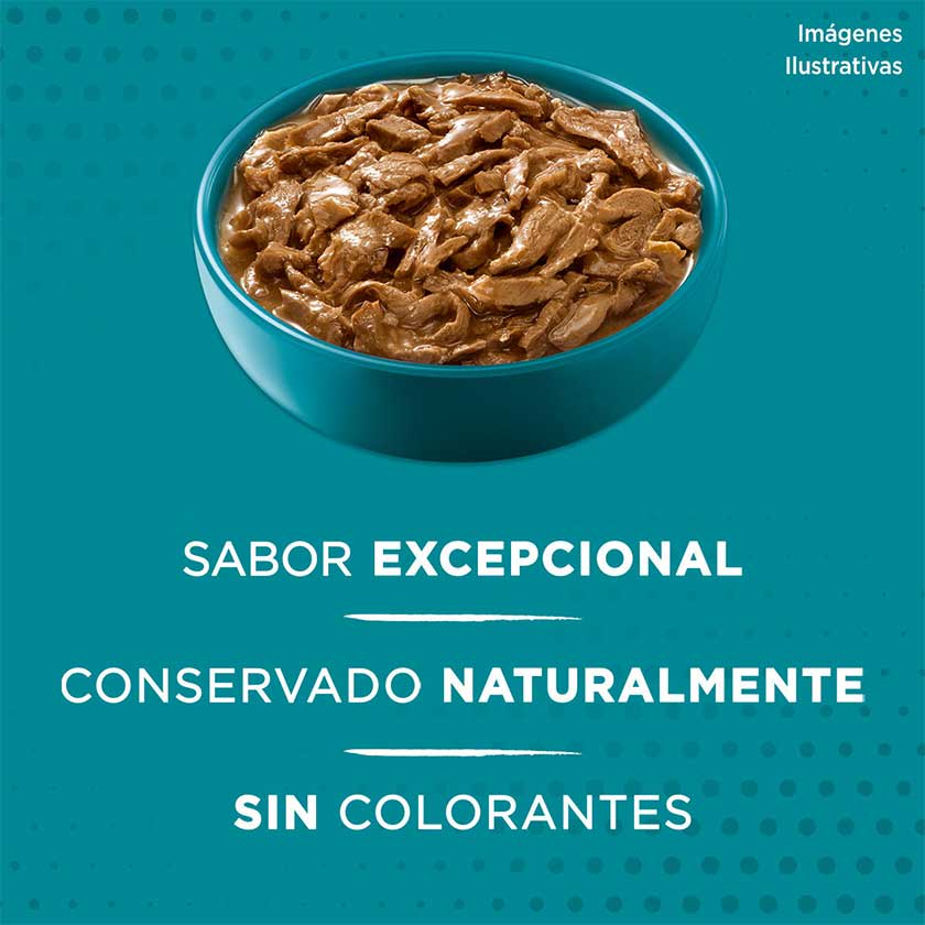 Purina One Pouch Gatos Adultos Y Gatitos Sabor Salmon Atun Y Pescado 85Gr Pack 15 Unidades